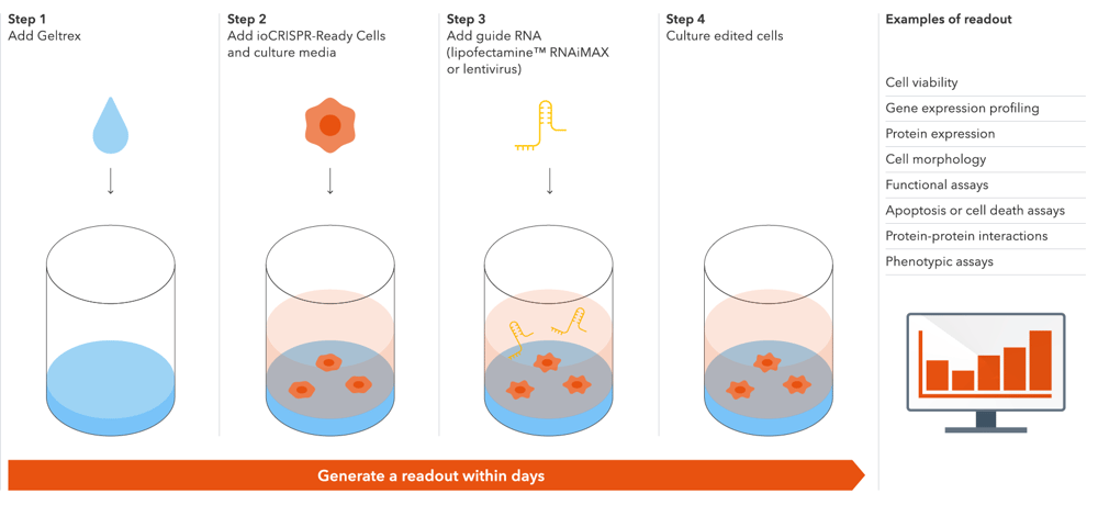 bitbio-ioCRISPR-workflow-diagram-V6