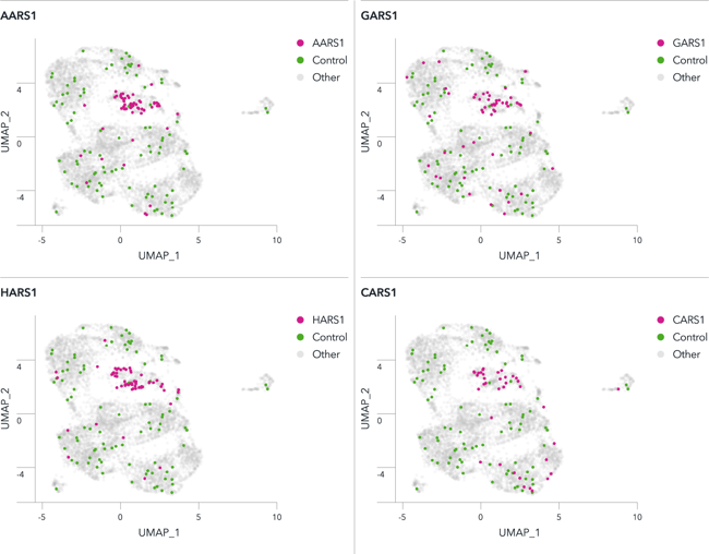 ioGlutamatergic-Neurons-CRISPR-Ready-Pooled-Screen-scRNA-seq