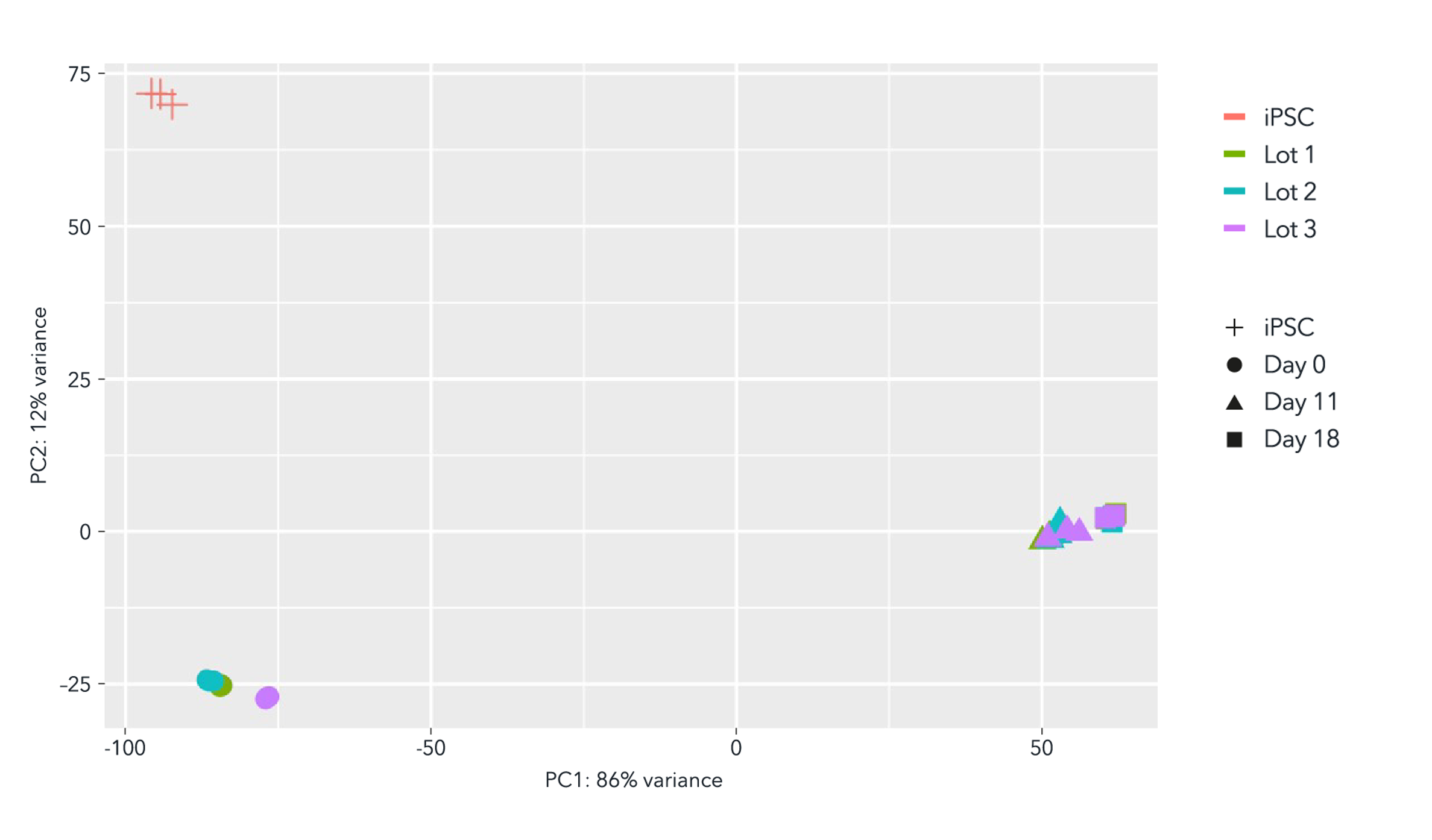 bitbio-PCA-plot-showing-lot-to-lot-consistency-ioGlutamatergic-Neurons
