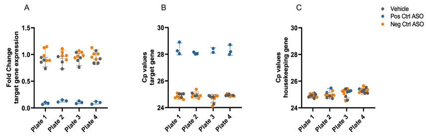bitbio-glutamatergic-neurons-ASO-delivery-gene-knockdown