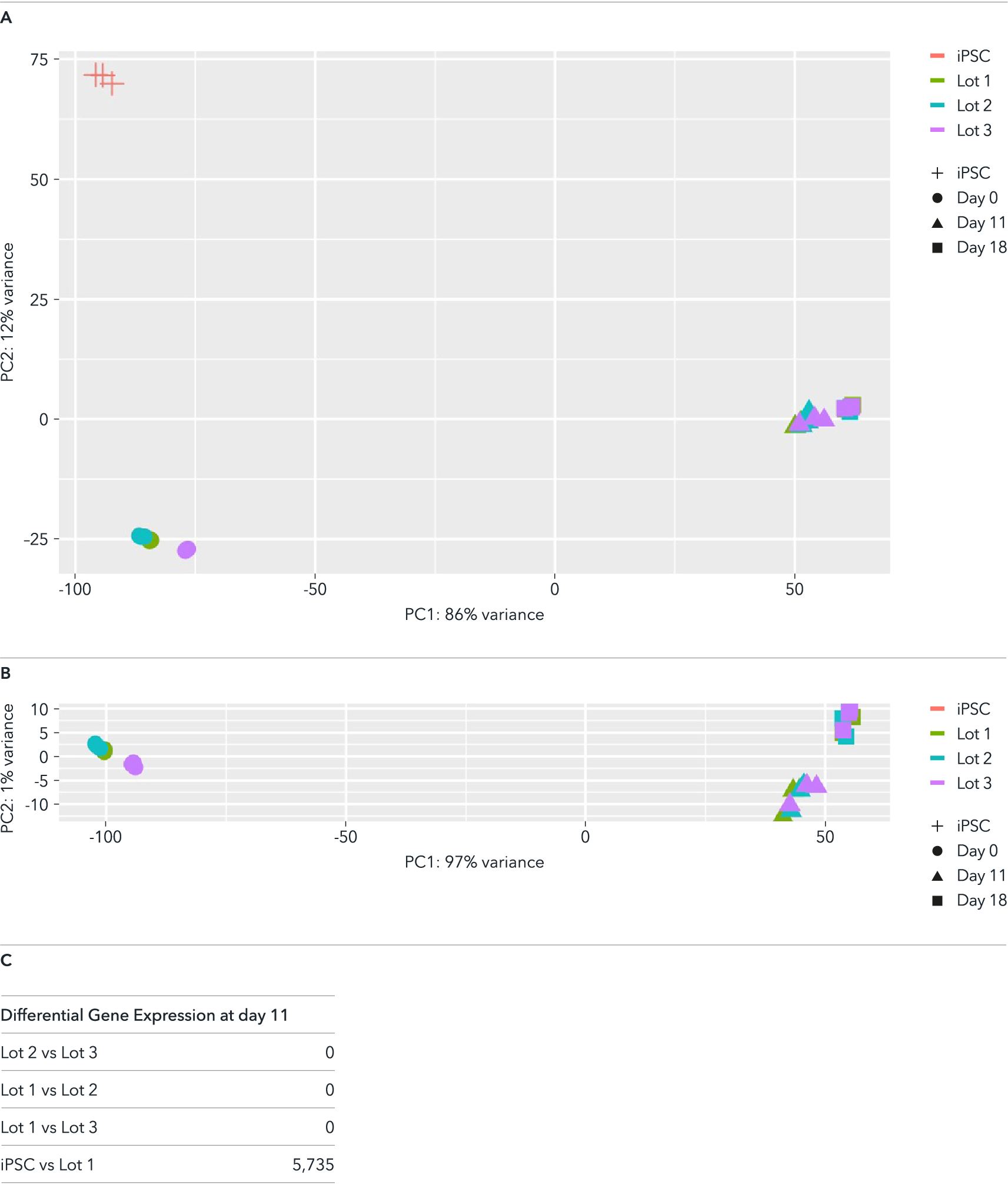 bit.bio Bulk RNA-sequencing data demonstrates consistency across manufacturing lots of glutamatergic neurons