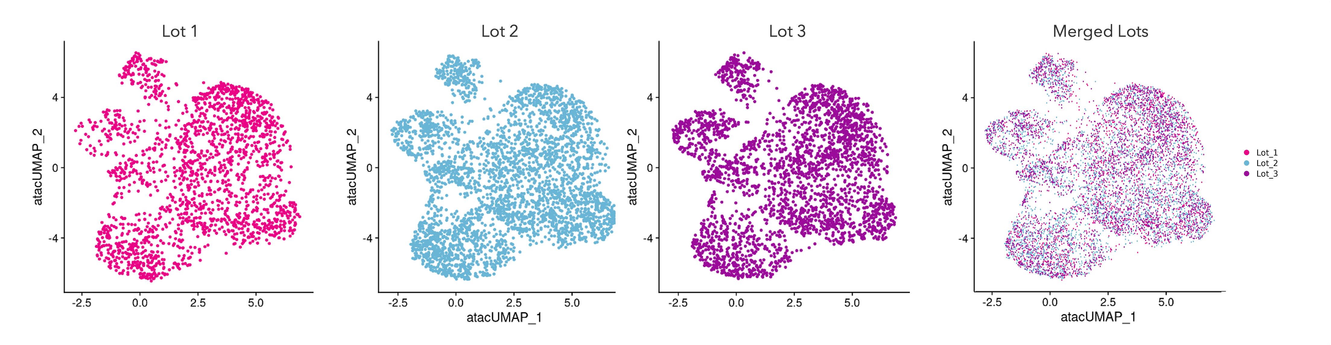 Single cell ATAC-seq data represented in UMAP plots demonstrates lot-to-lot consistency of 3 different lots of ioGlutamatergic Neurons.