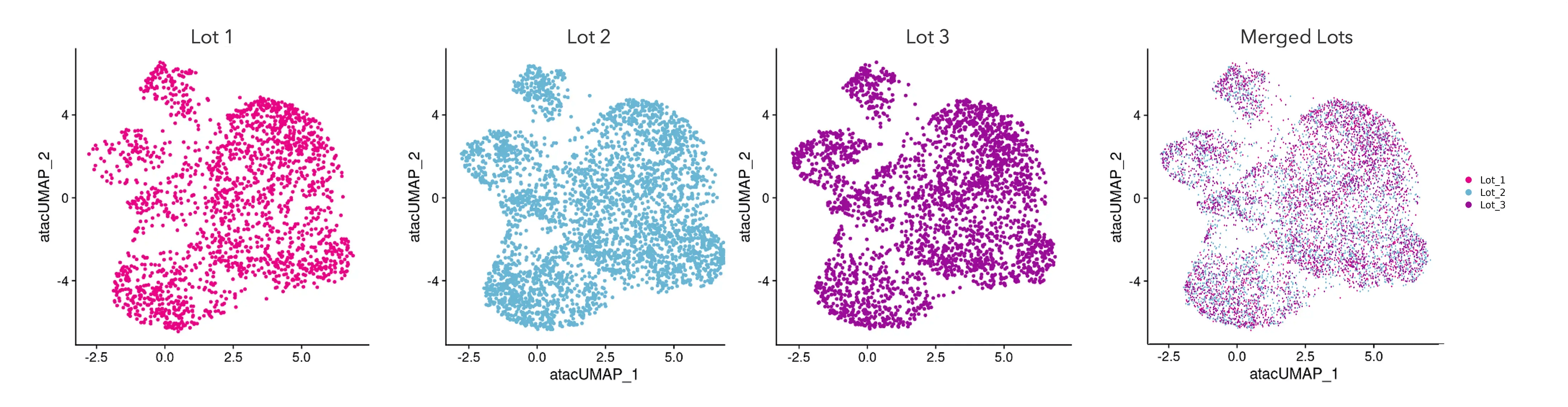 bitbio-glutamatergic-neurons-show-lot-to-lot-consistency-by-single-cell-ATAC-seq-day-11