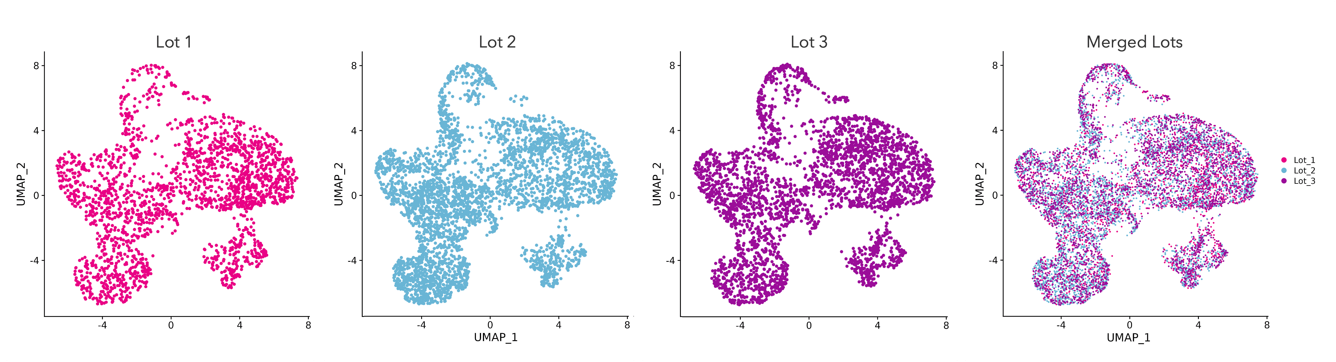 bit.bio scRNA-seq data represented in UMAP plots demonstrates lot-to-lot consistency of iPSC-derived glutamatergic neurons