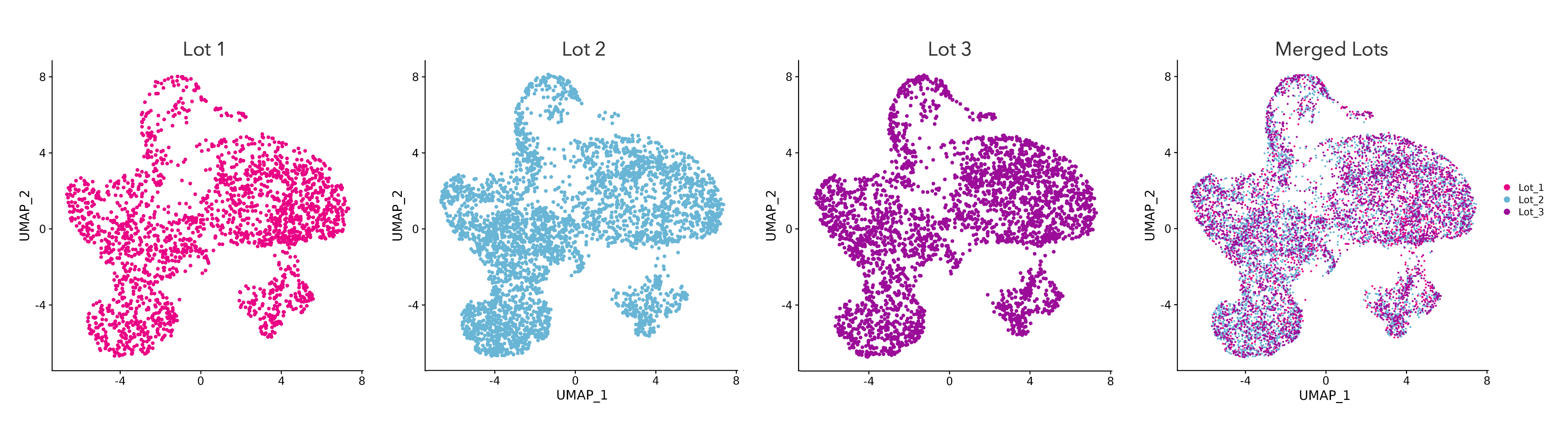 Single cell RNA-seq data represented in UMAP plots demonstrates lot-to-lot consistency of 3 different lots of ioGlutamatergic Neurons.