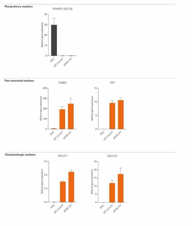 bit.bio-io1113-glutamatergic-neurons-apoe-3-3-gene-expression-RT-qPCR
