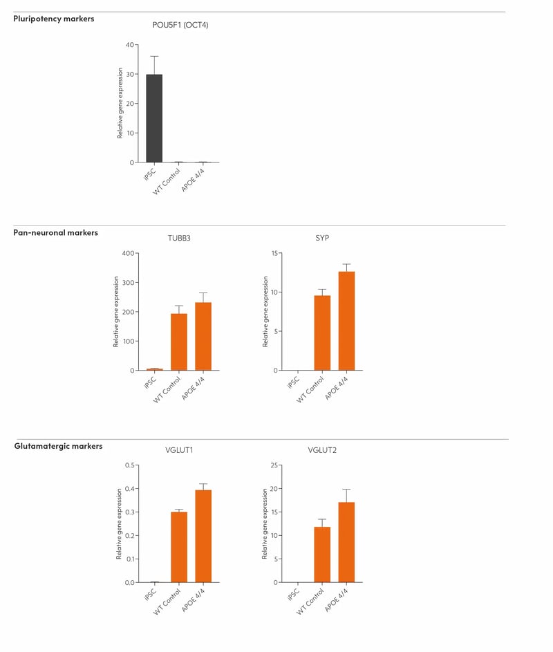 bit.bio-io1114-glutamatergic-neurons-apoe-4-4-gene-expression-RT-qPCR