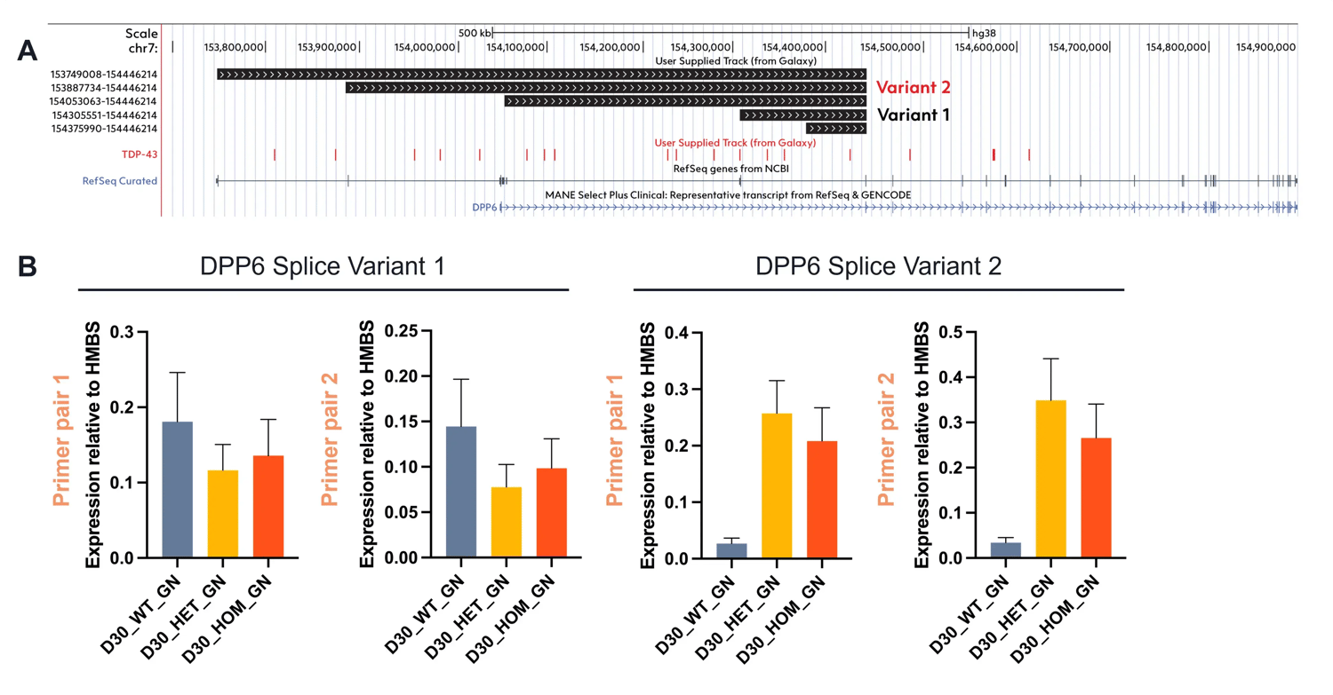 DPP6-splice-events-wild-type-and-TDP-43-mutant-ioGlutamatergic-Neurons