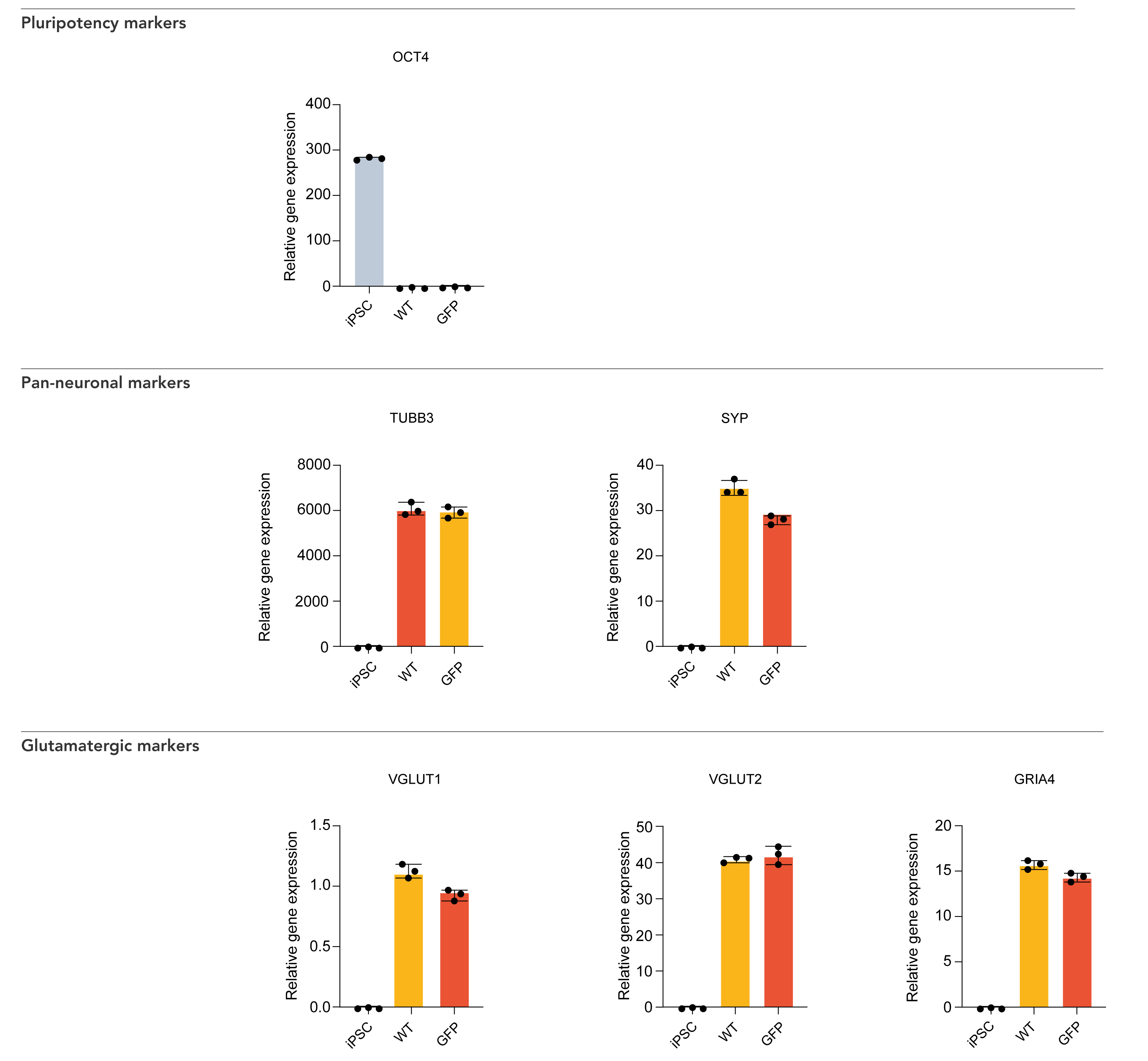 bit.bio-io1107-gfp-glutamatergic-neurons-gene-expression-rt-qpcr