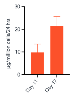 bit.bio_ioHepatocytes_Alb_secretion_ELISA_day11+day17
