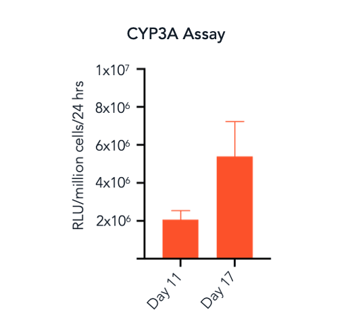 bit.bio_ioHepatocytes_CYP3A4_activity_RLU