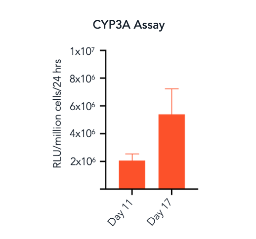 bit.bio_ioHepatocytes_CYP3A4_activity_RLU