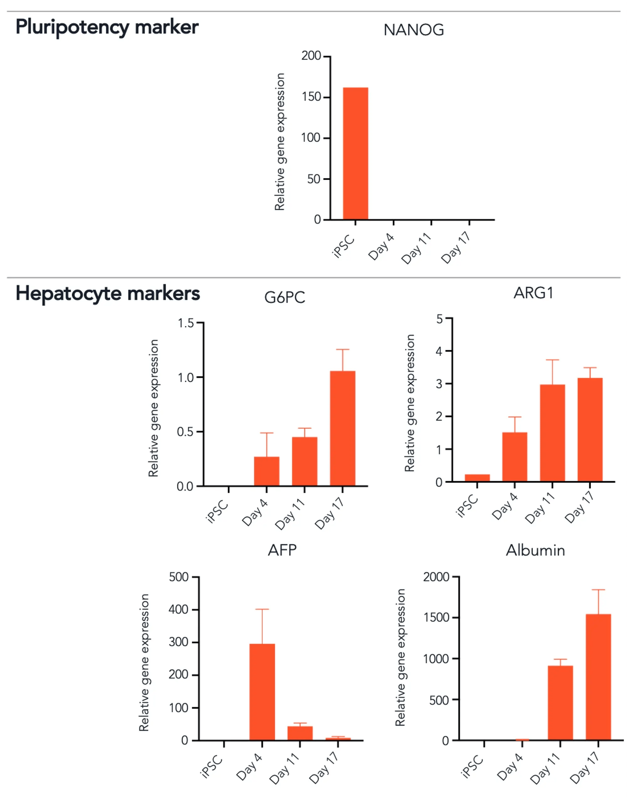 bit.bio_ioHepatocytes_RTqPCR_panel_NANOG_G6PC_ARG1_AFP_ALB