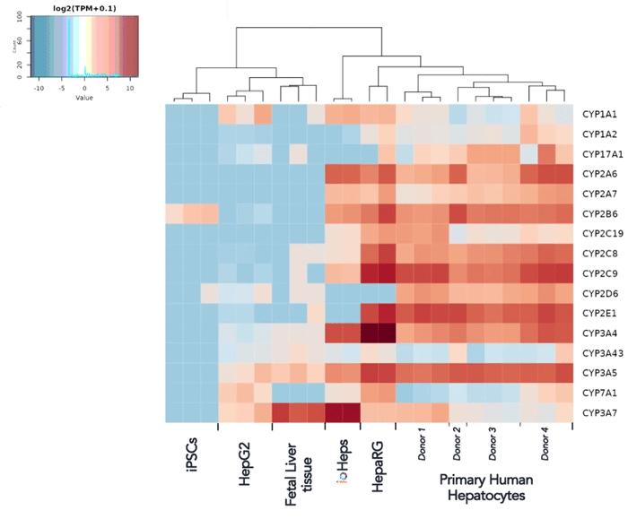 bit.bio_ioHepatocytes_bulk-rna-seq_benchmarking_phase-I