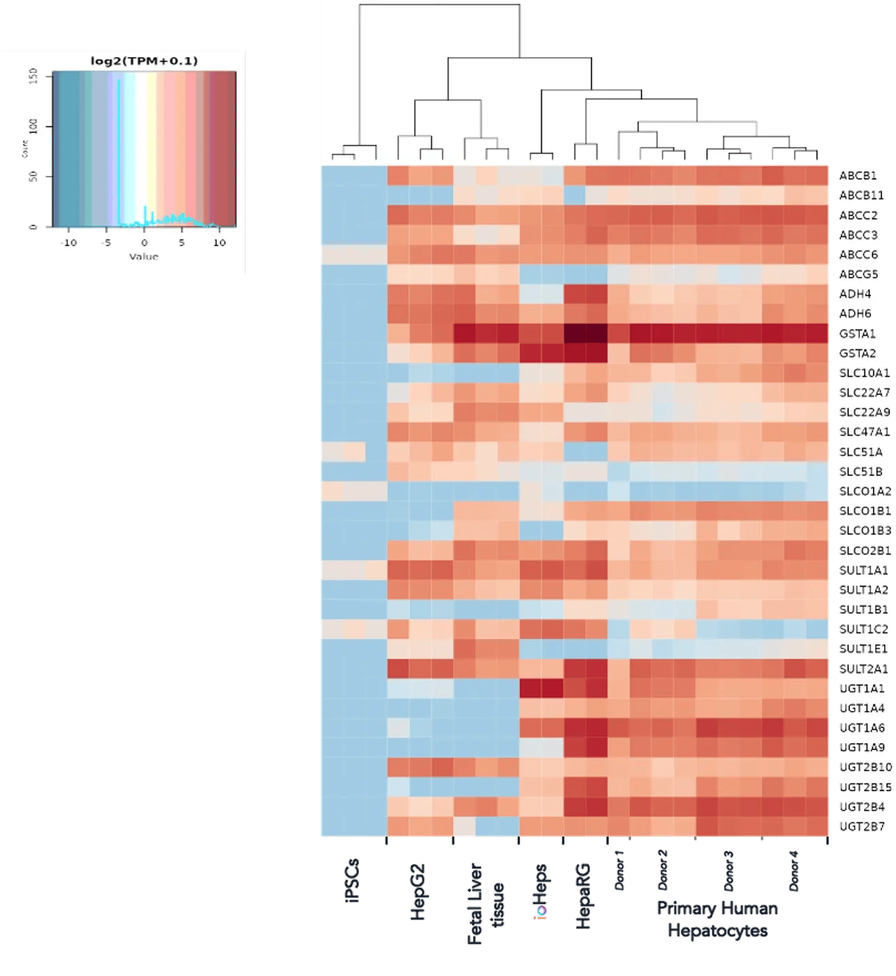 bit.bio_ioHepatocytes_bulk-rna-seq_benchmarking_phase-II+III