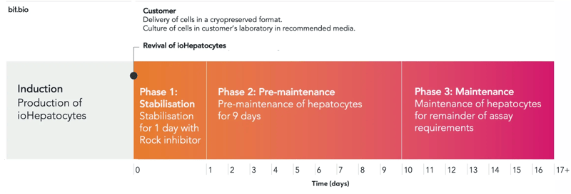 ioHep_UserManual_timelines_graphic-1