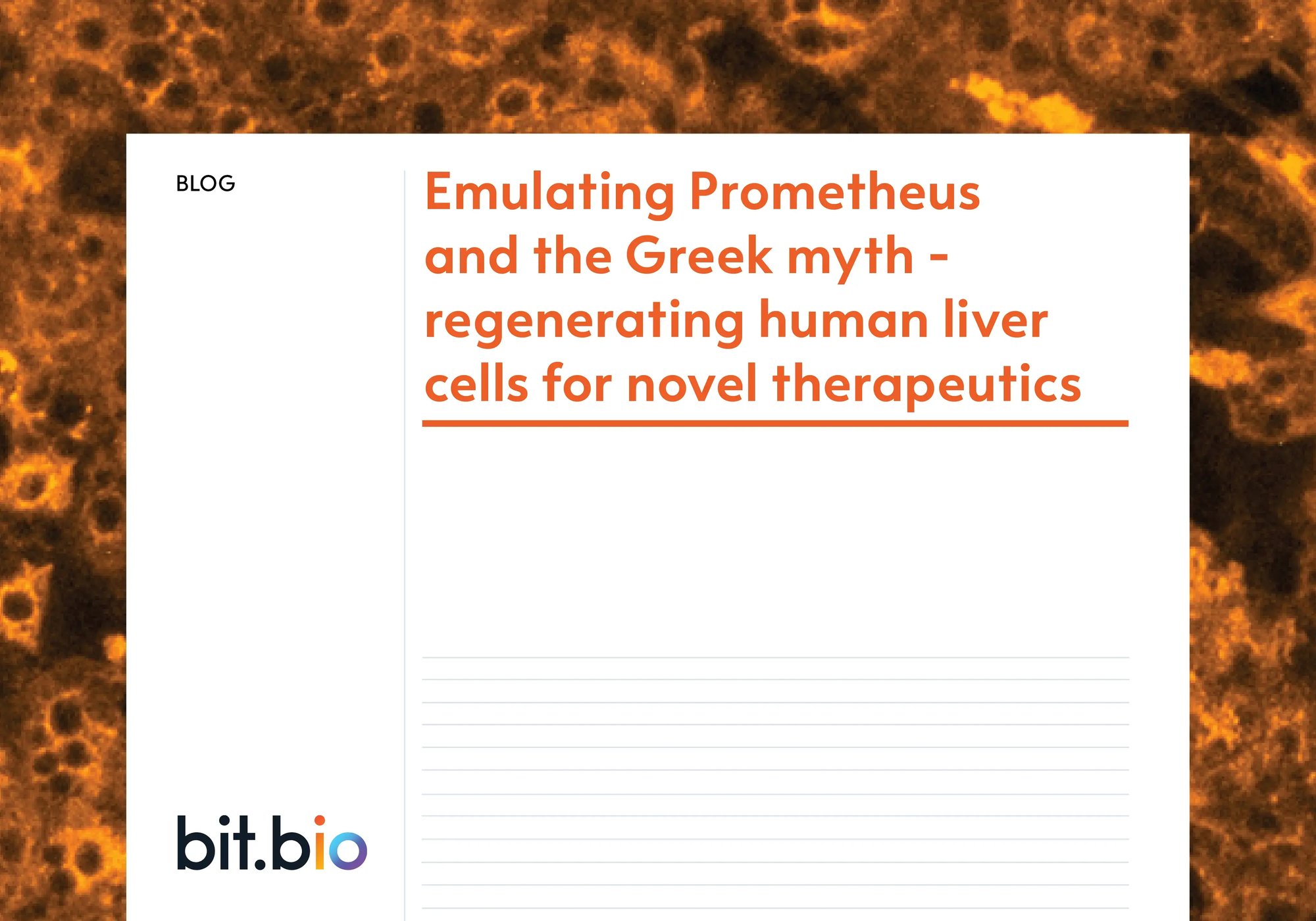 ioHepatocytes-liver-cells-blog-thumbnail-preview