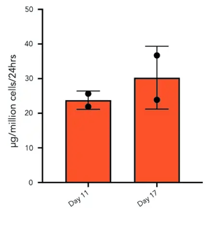 ioHepatocytes_albumin-secretion-day11-day17