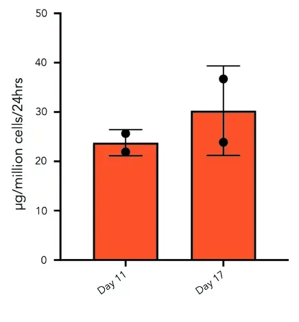 ioHepatocytes_albumin-secretion-day11-day17