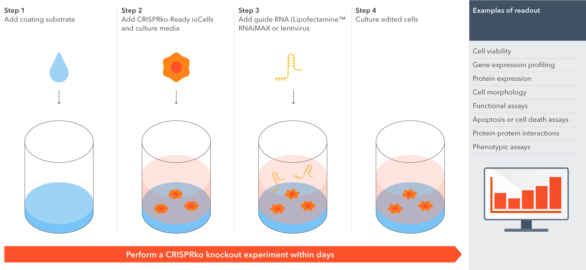 bitbio-CRISPRko-ready-cells-workflow-diagram-v1