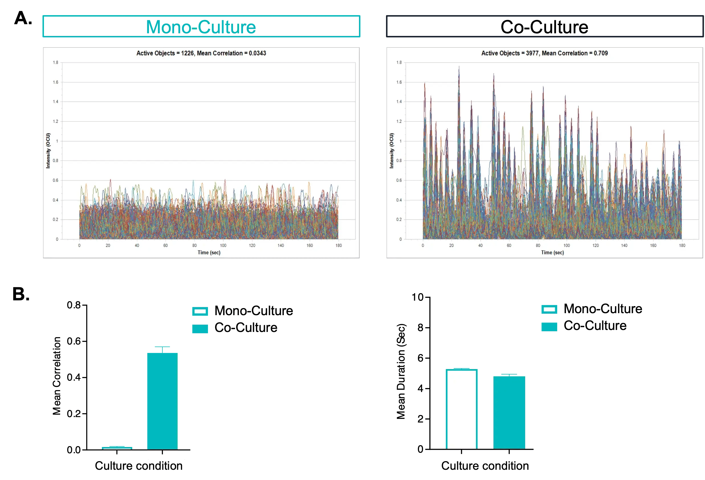 calcium-imaging-microglia-and-glutamatergic-neuron-co-culture