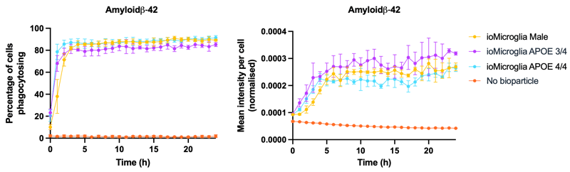 Microglia APOE 44 abeta42 phagocytosis