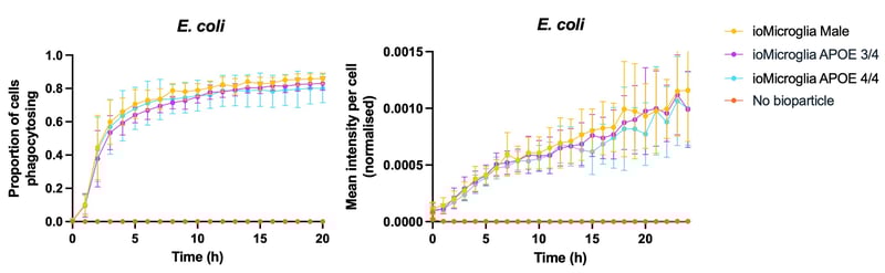 Microglia APOE 44 e.coli phagocytosis