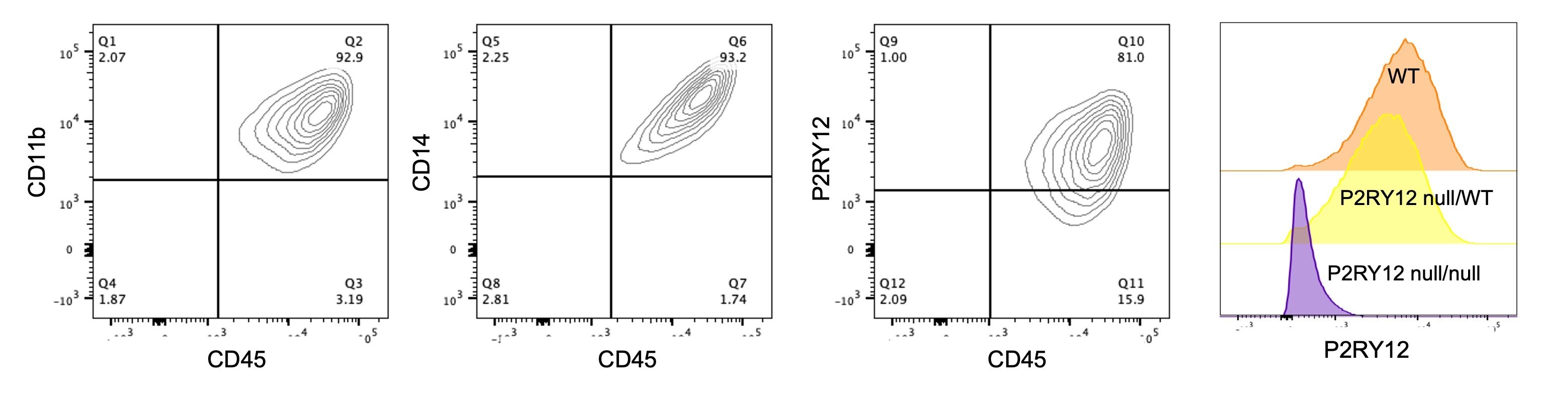 Micrgolia P2RY12 HET KO flow plots v3