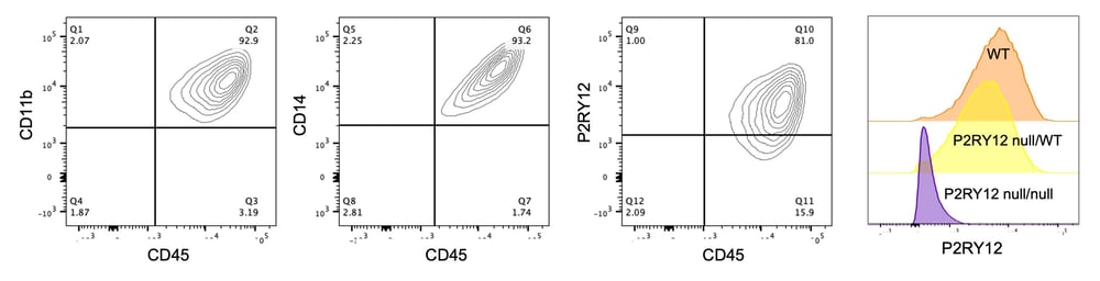 Microglia P2RY12 HET KO flow plots v3