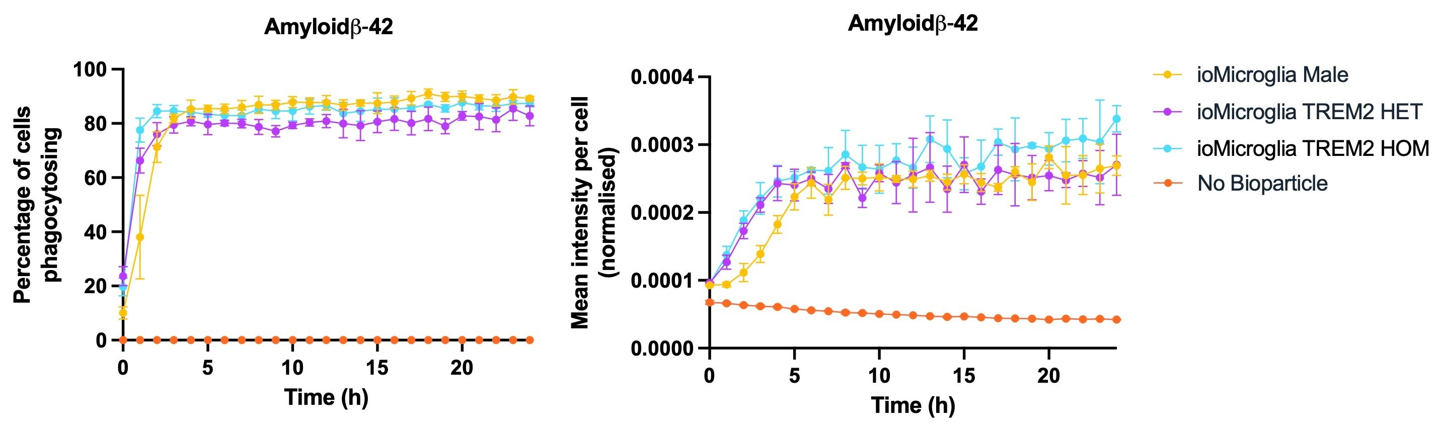 microglia TREM2 abeta42 phagocytosis