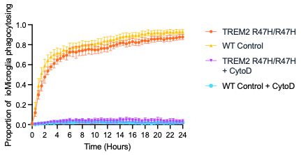 microglia-TREM2-hom-phagocytosis-proportion