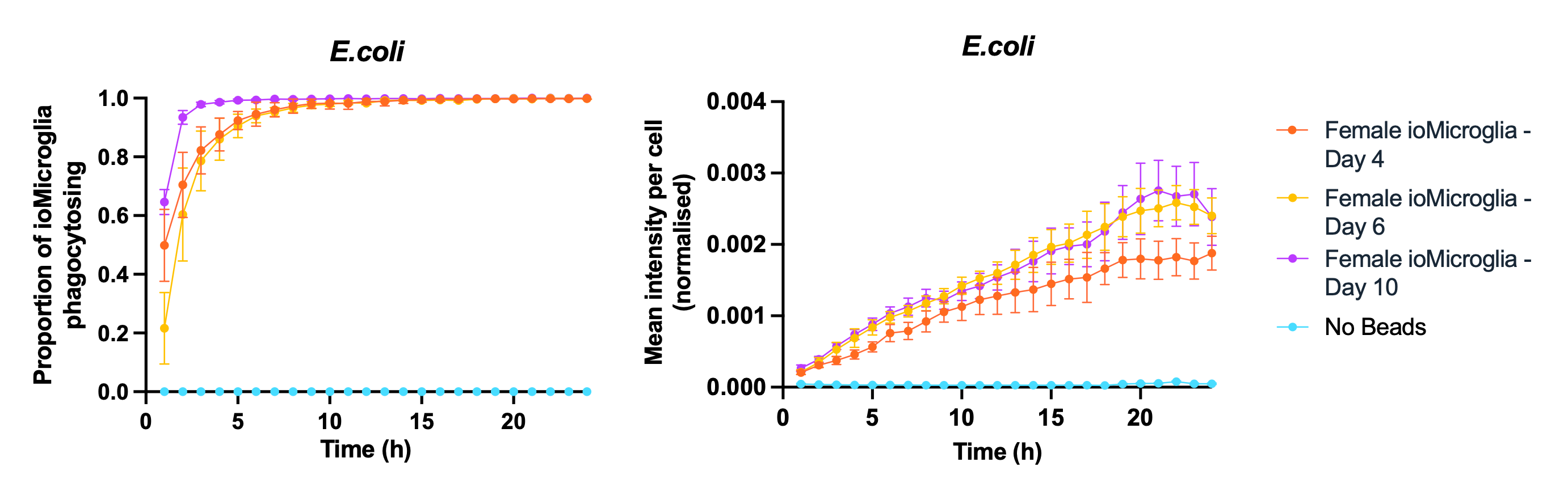 Day 4 phagocytosis female microglia