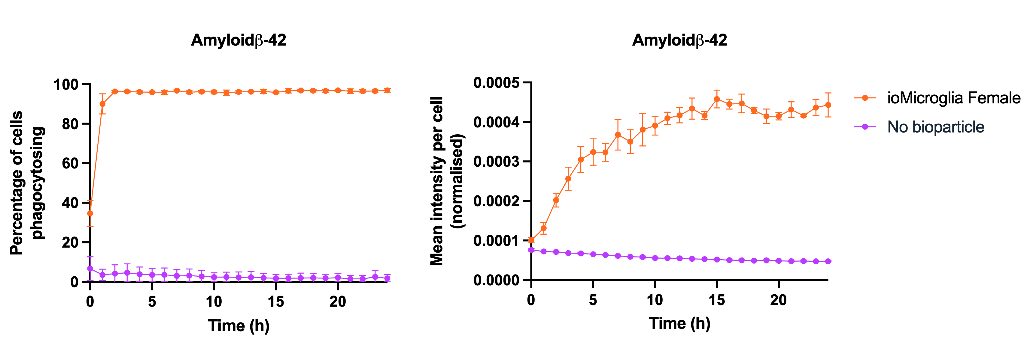 female microglia Amyloid beta 42 phagocytosis white background