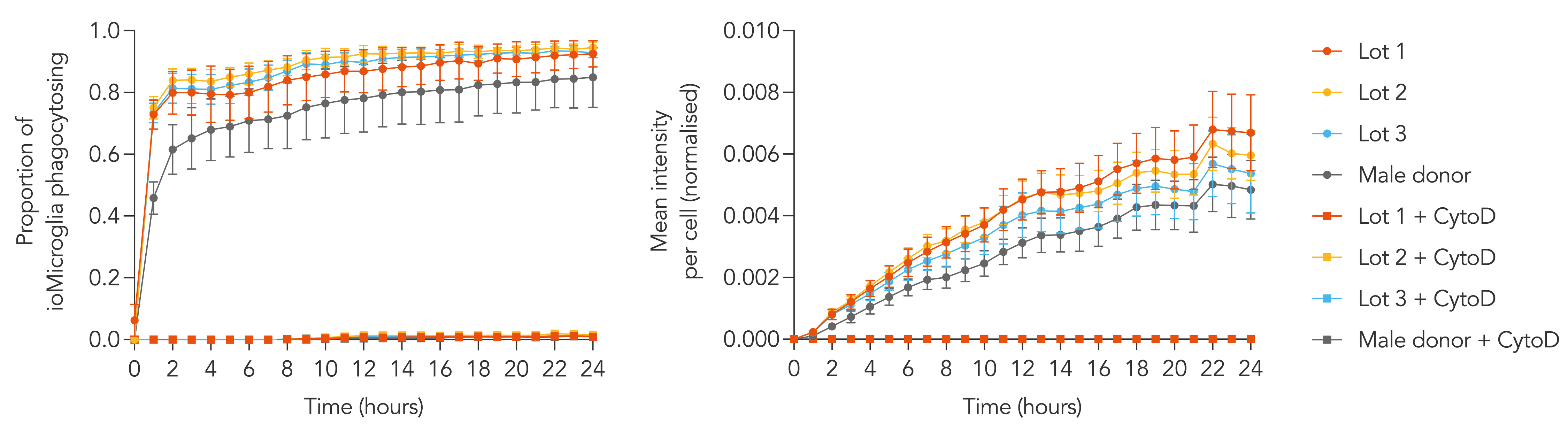 female microglia phagocytosis 3 lots