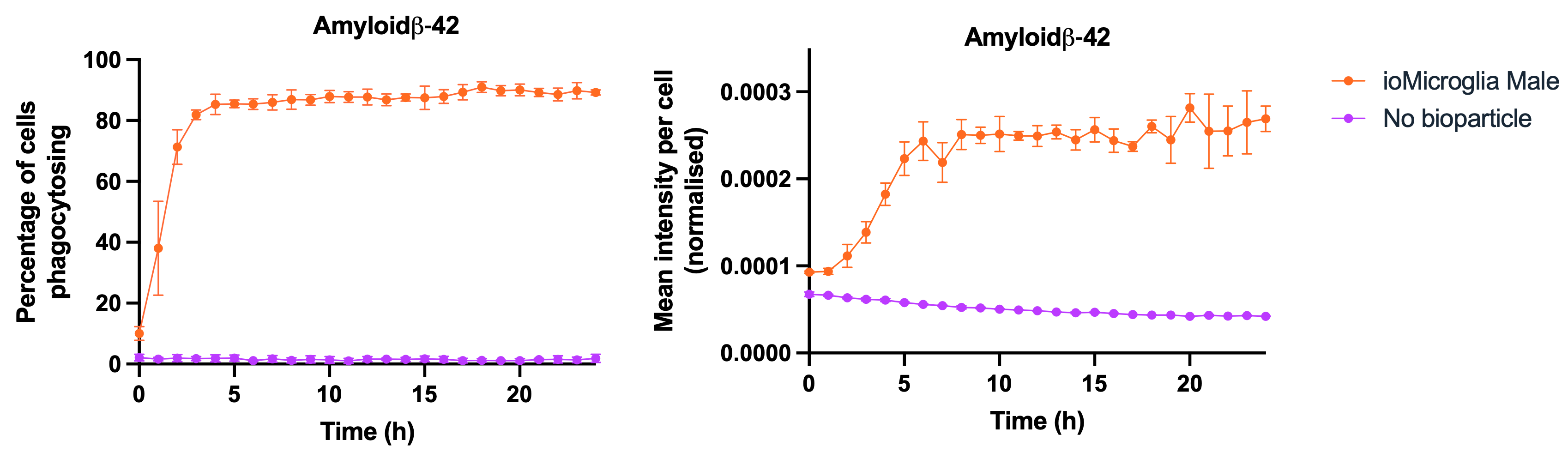 microglia male amyoid beta 42 phagocytosis