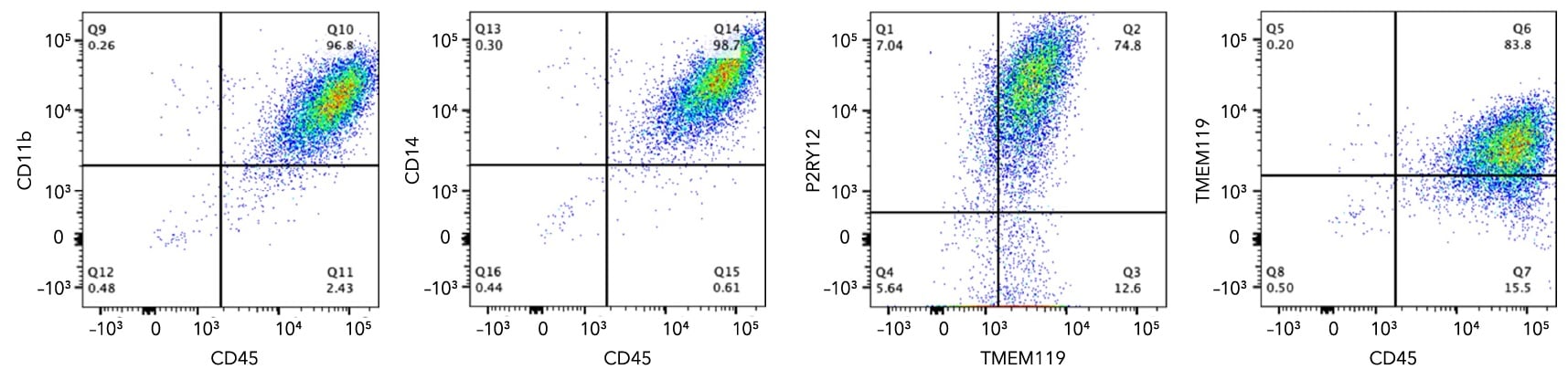 ioMicroglia show key phenotypic marker expression