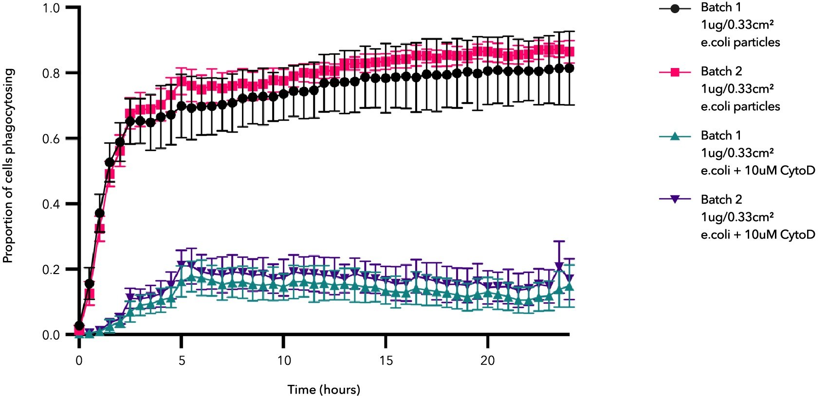 Proportion of cells undergoing phagocytosis over time