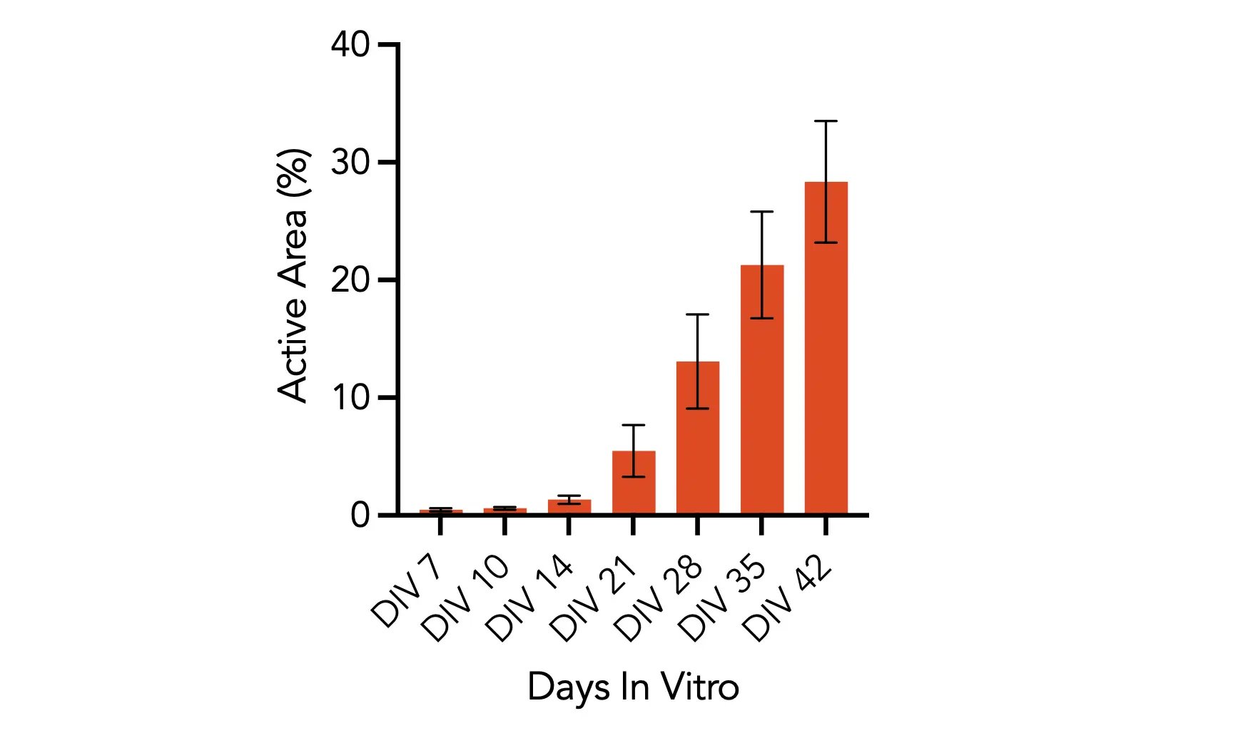 Spontaneous neuronal activity in ioMotor Neurons