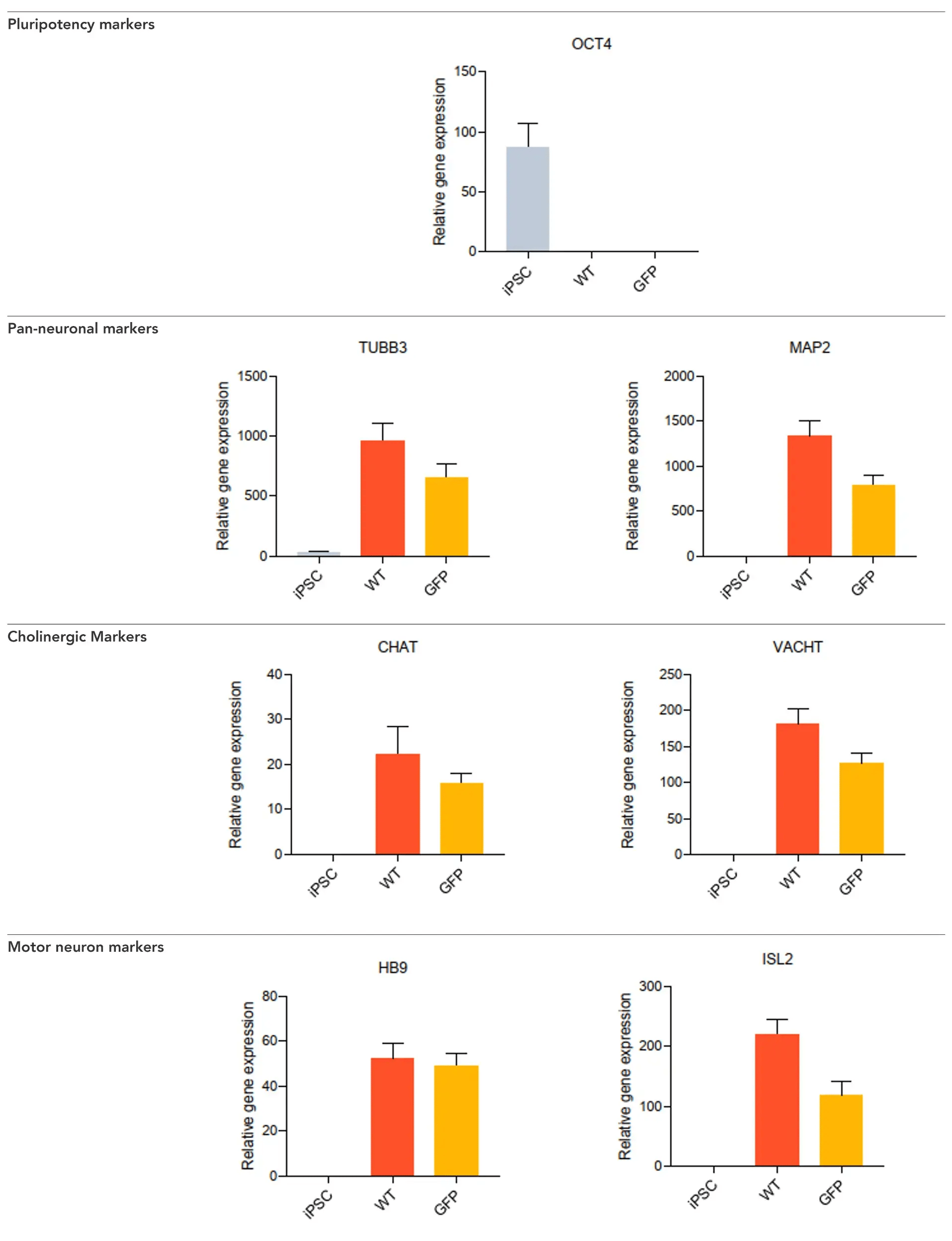 bit.bio_GFP_ioMotorNeurons_vs_WT_RTqPCR_OCT4_TUBB3_MAP2_CHAT_VACHT_HB9_ISL2