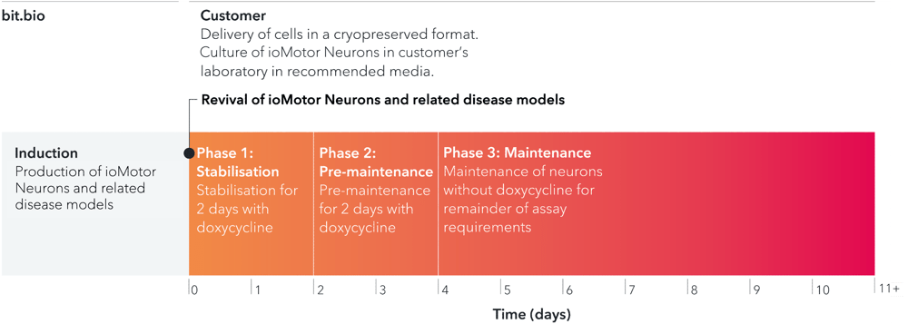 ioMotor Neuron + DM timeline-1