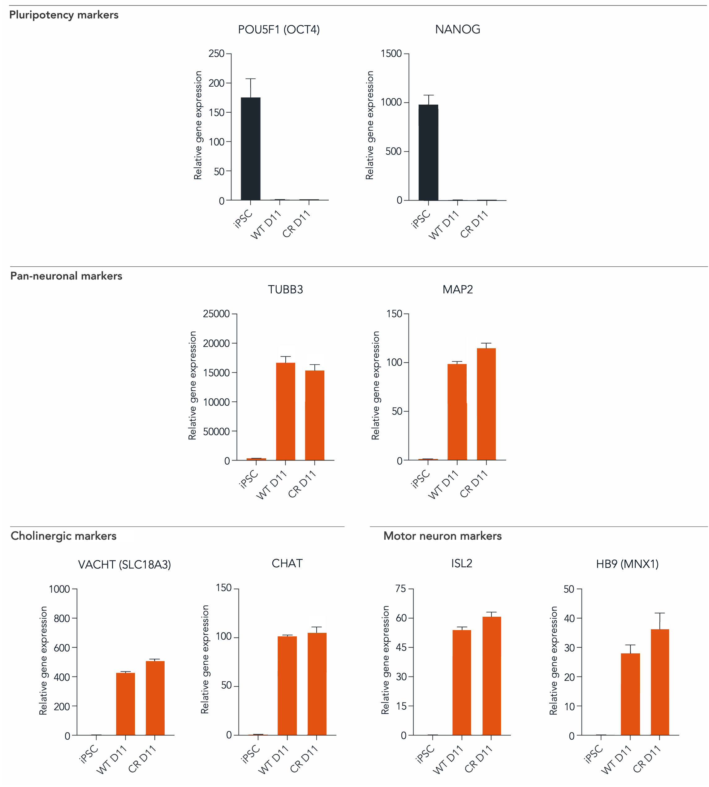 CRISPRkoioMotor_RtqPCR