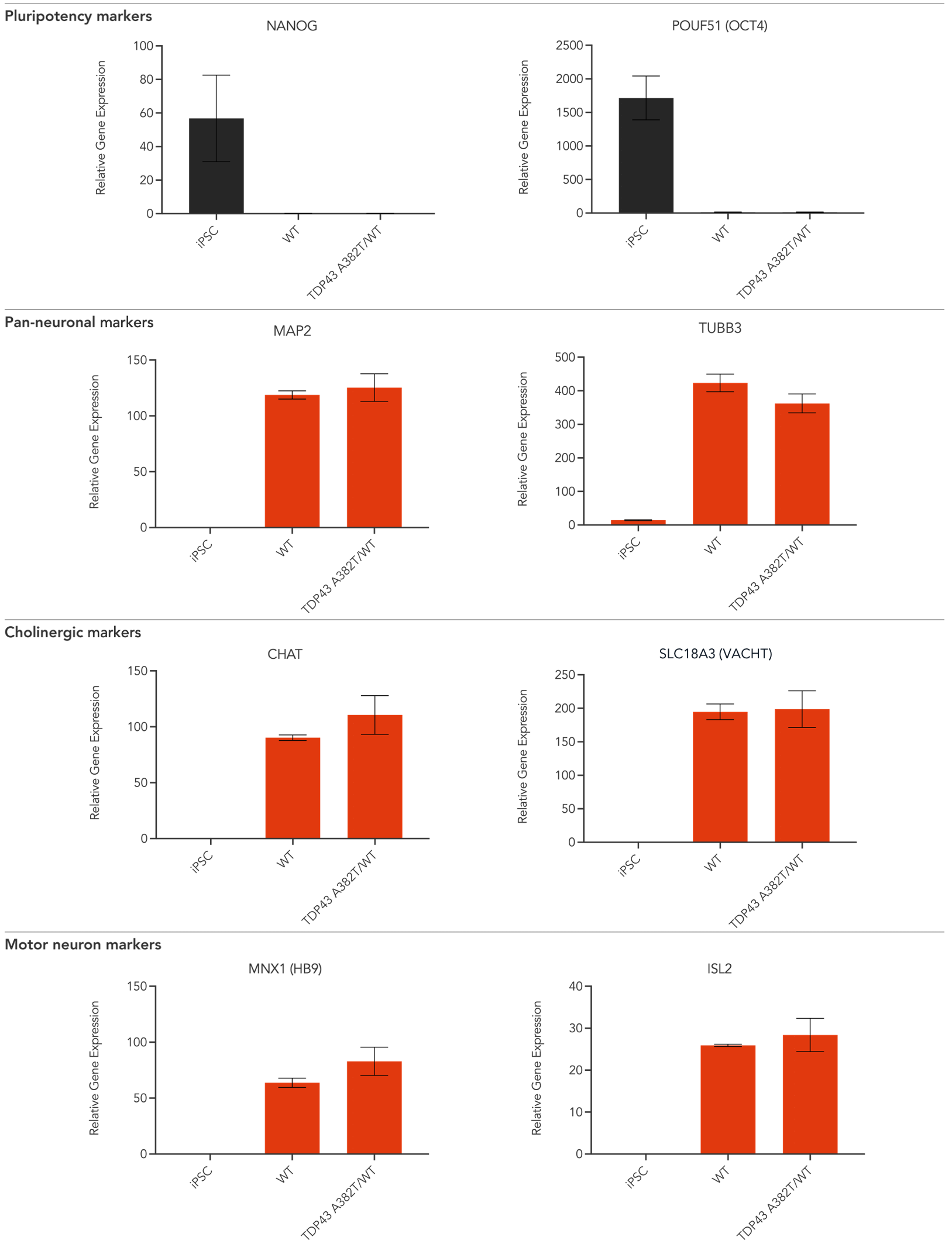 ioMotorNeurons_TDP-43_A382T_RT-qPCR_Panel1