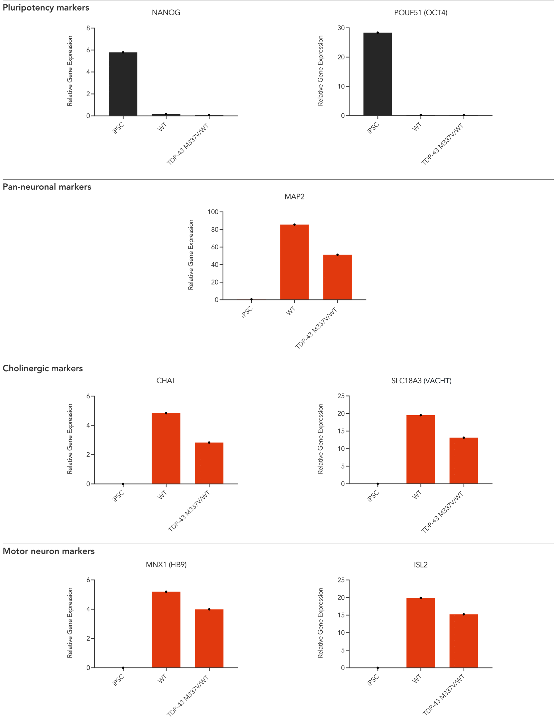 Gene expression analysis of disease model on human iPSC-derived motor neurons