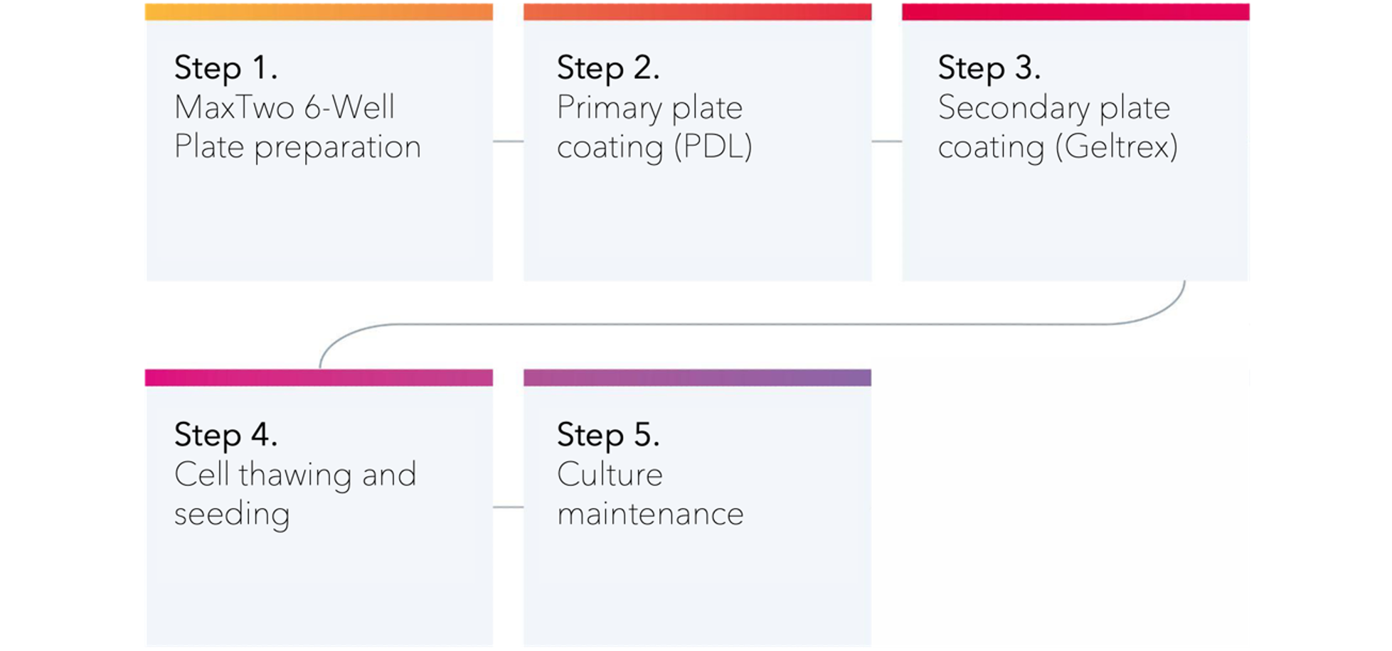 ioMotor_astro_MEA_steps
