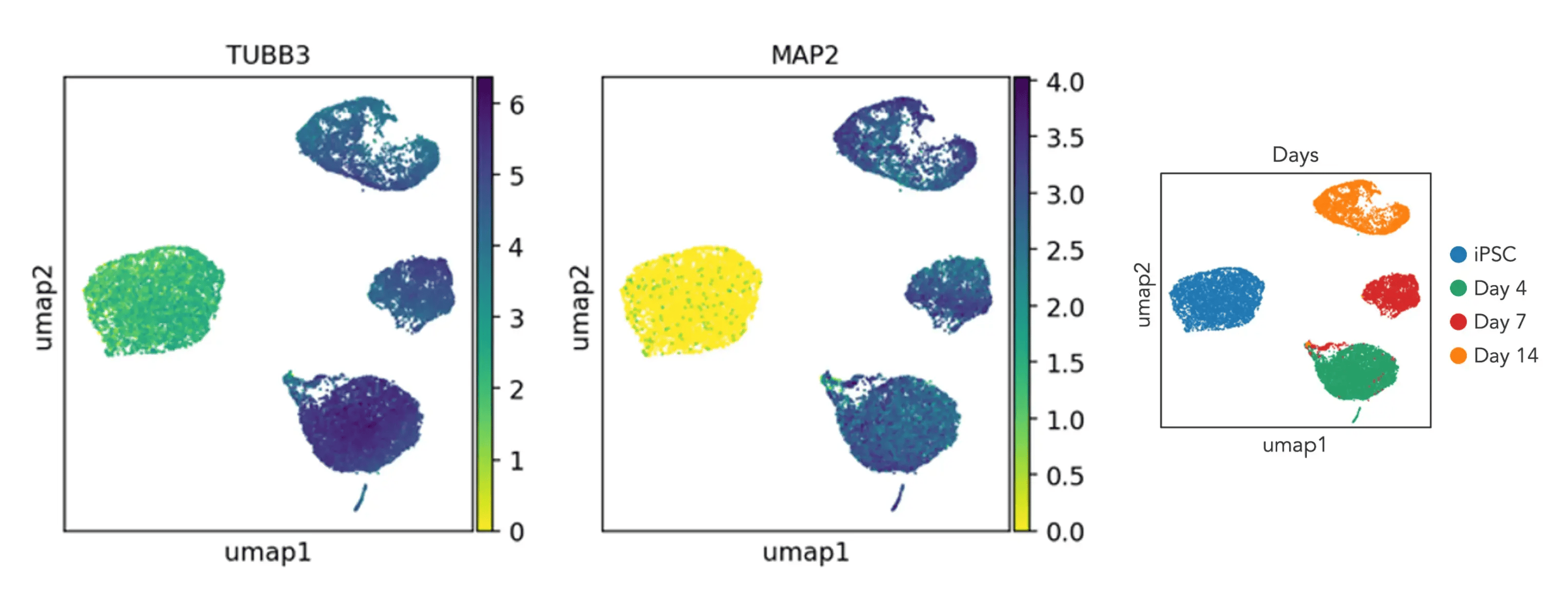 scRNA-pan-neuronal-markers