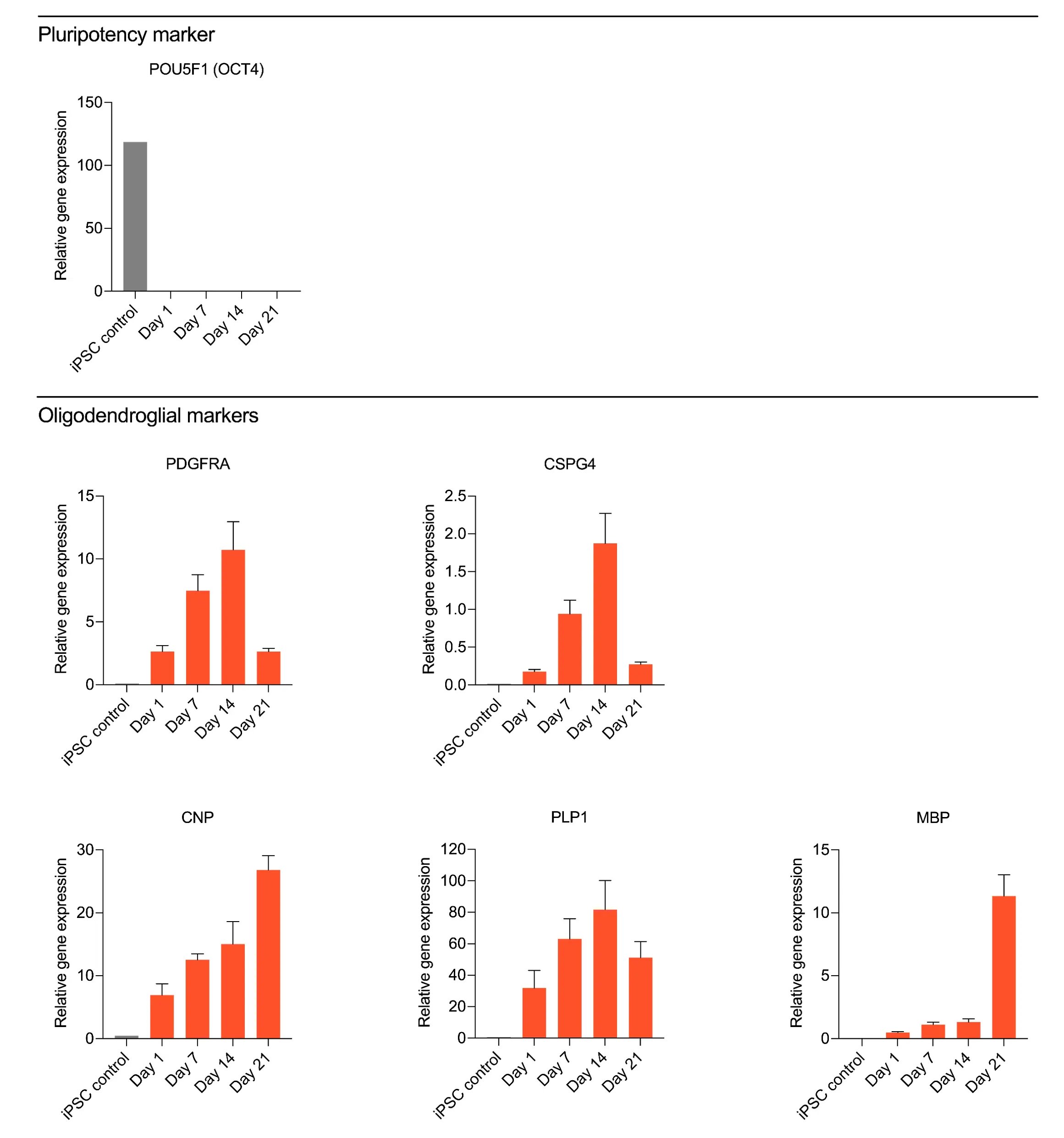 Oligodendroglial genes, such as PDGFRA, CSPG4, CNP, PLP1, and MBP, are expressed by human iPSC-derived ioOPC-like cells.