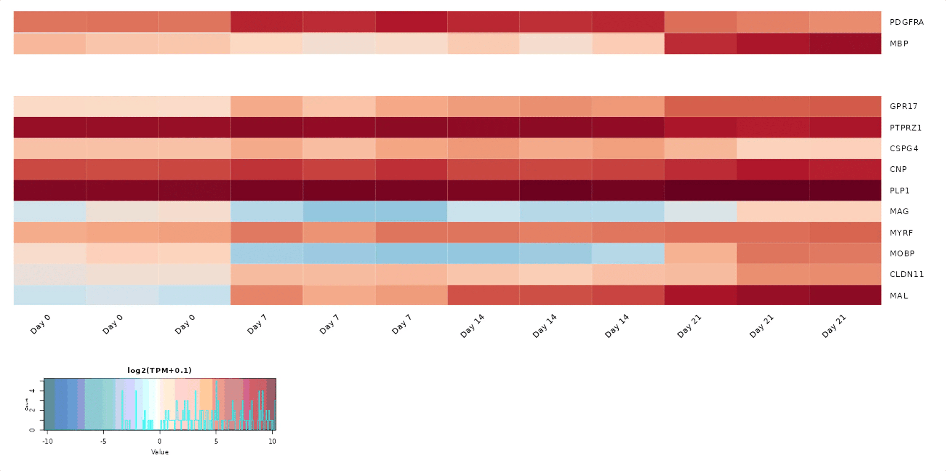 Heatmap for ioOPC-like cells showing expression of key oligodendroglial cells demonstrated by bulk RNA sequencing