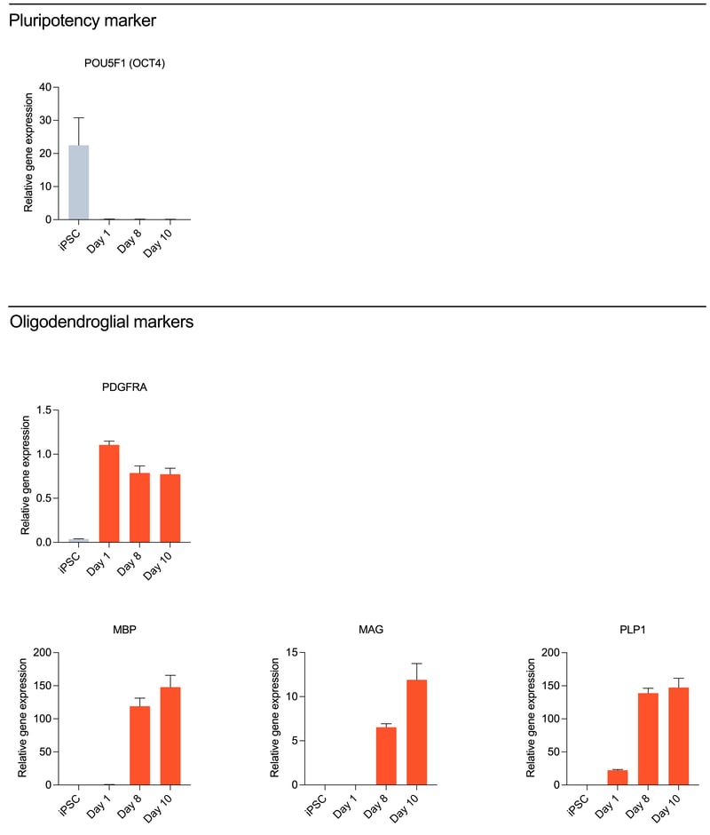 RT-qPCR demonstrates expression of key oligodendroglial genes by ioOligodendrocyte-like cells.