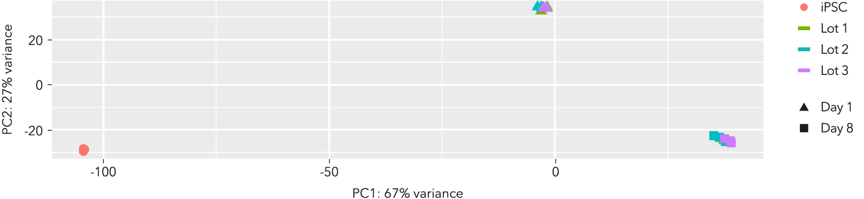 bitbio-oligodendrocyte-like-cells-demonstrate-lot-to-lot-consistency-by-bulk-RNA-seq-data-io1028S