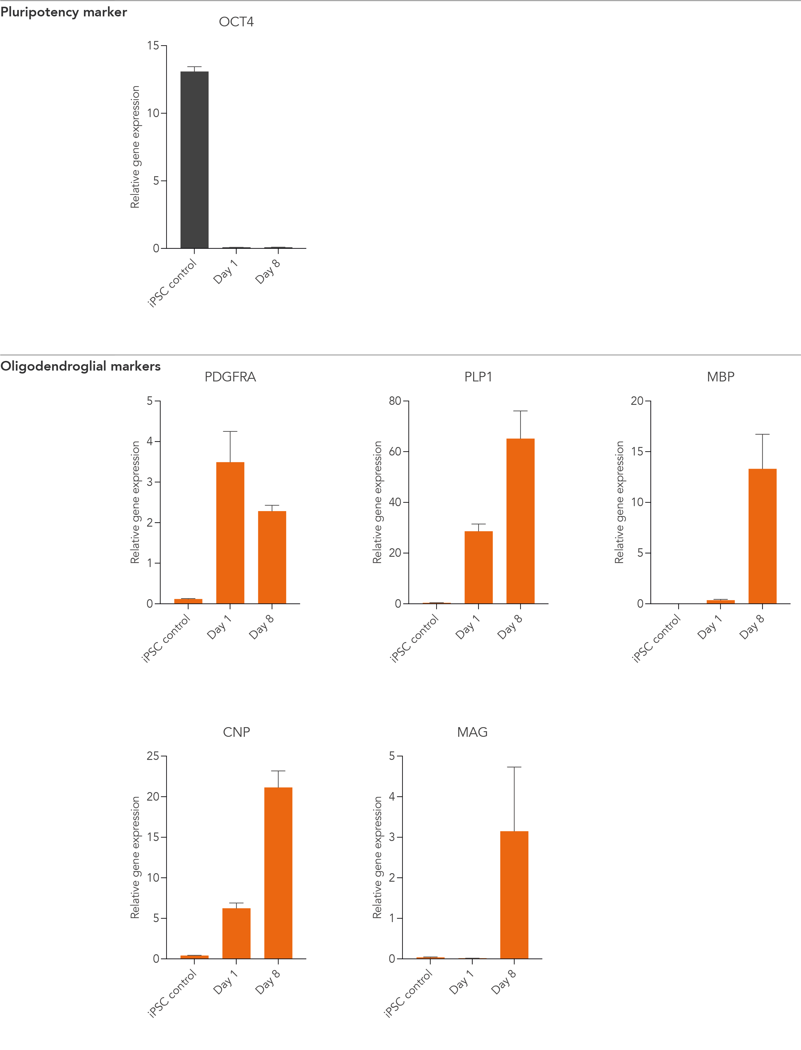 Oligodendrocyte-like cells demonstrate gene expression of key oligodendroglial markers, such as PDGFRA, PLP1, MBP, CNP and MAG